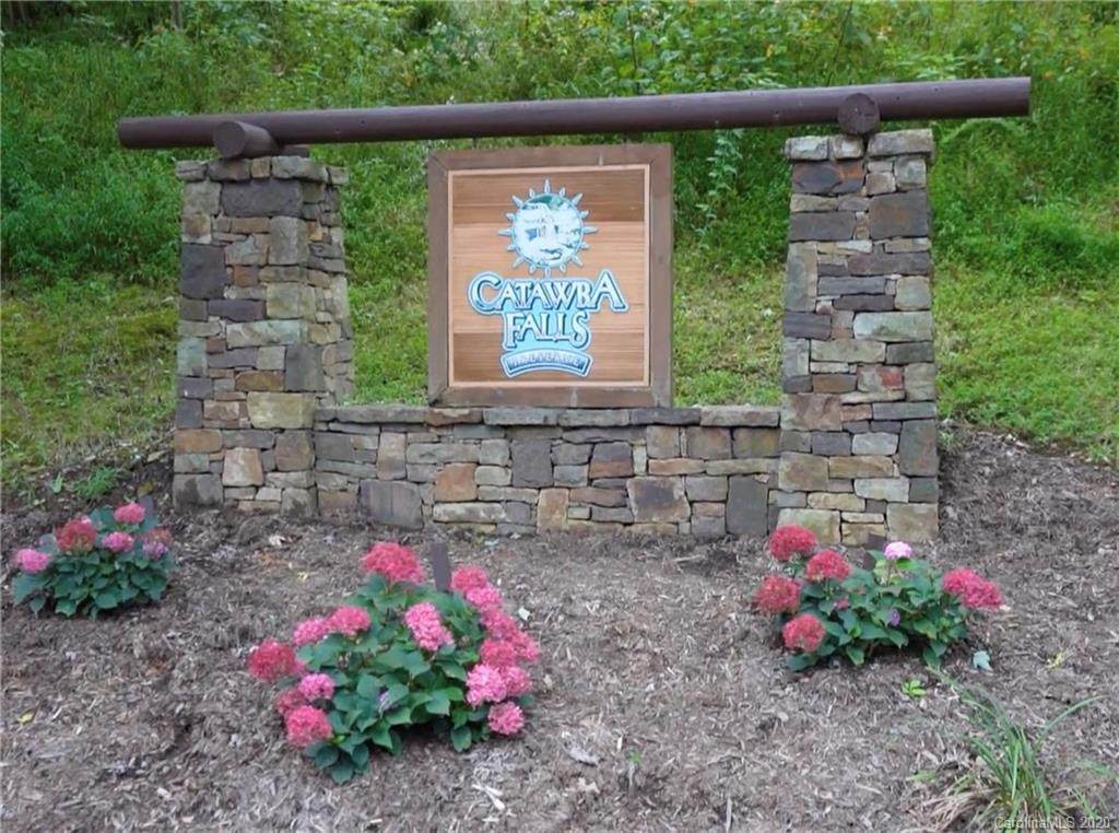 Lot 213 Catawba Falls Parkway - Photo 1