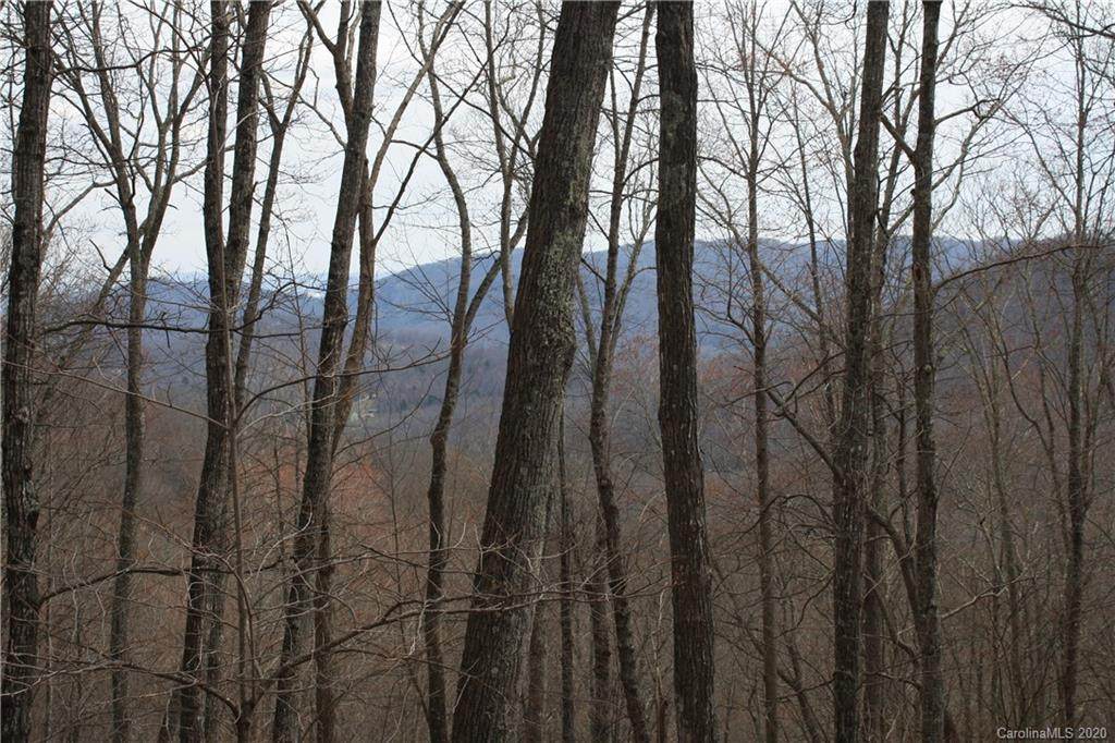 TBD Hickory Springs Road - Photo 1