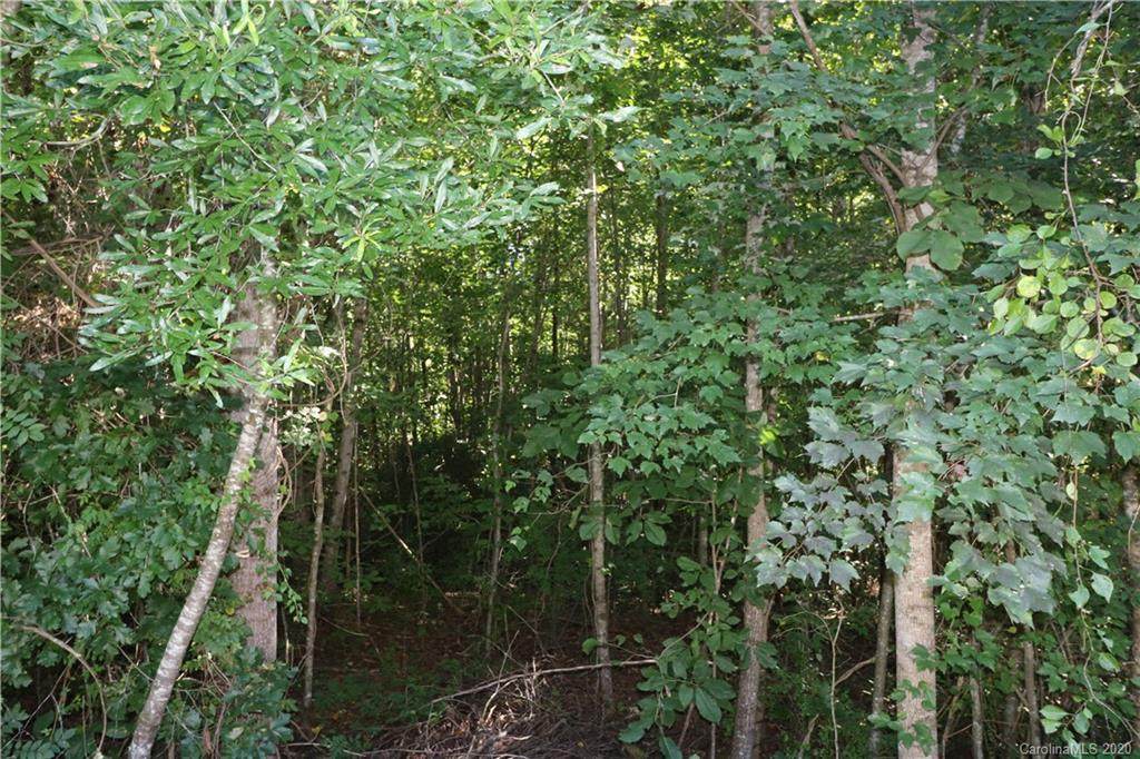 0 Palomino Trail - Photo 1