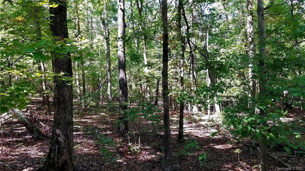0 Adirondack Trail - Photo 1