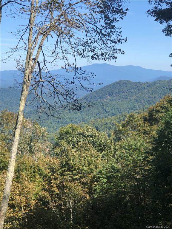 LOT 21 Cherry Knob Drive - Photo 1