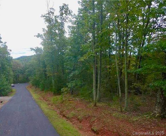 V/L 134 Grindstone Drive - Photo 1