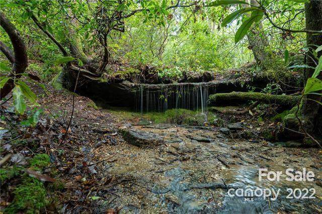 TBD Silversteen Road - Photo 1