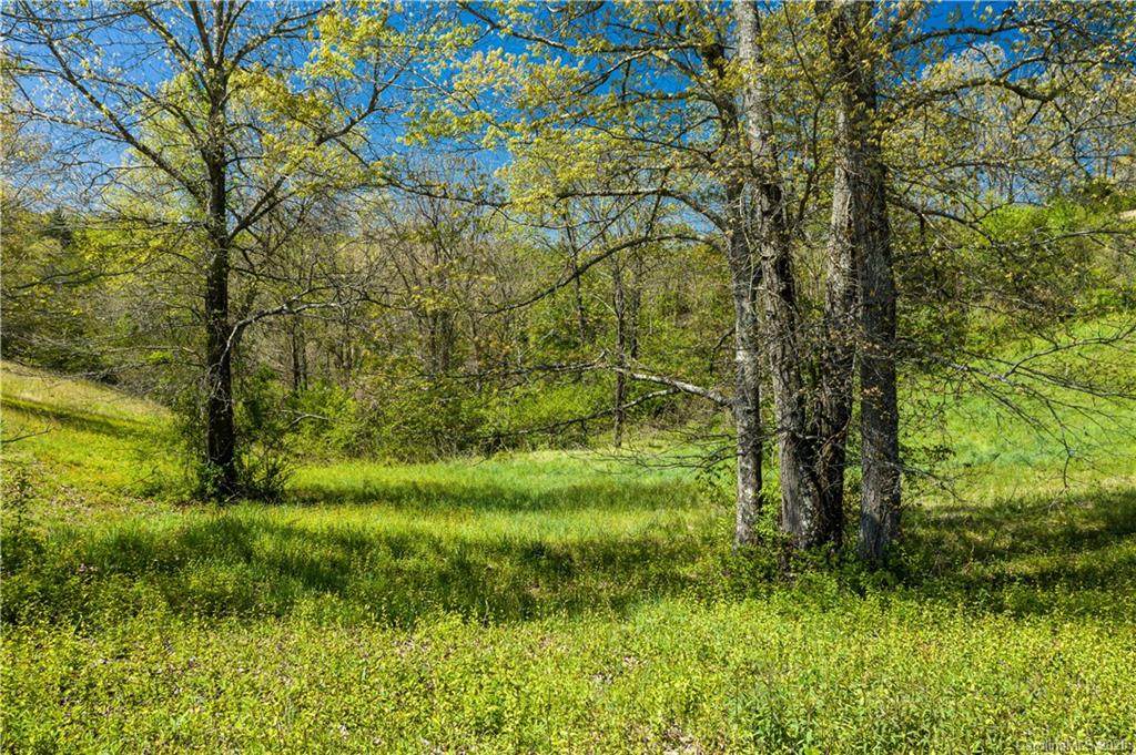 507 Dykeman Trail - Photo 1
