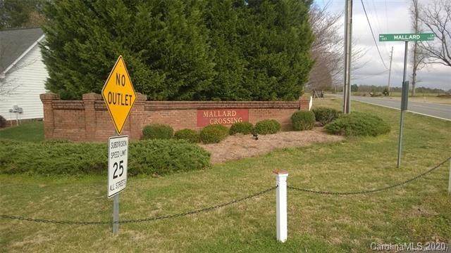 5525 Mallard Lane - Photo 1