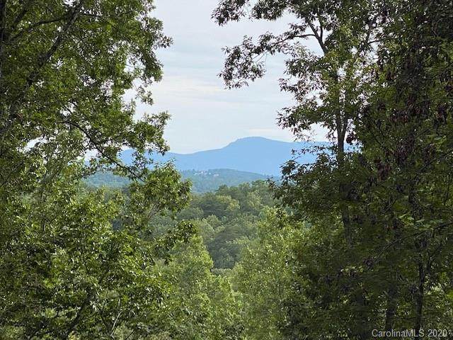 0000 Merrills Ridge Road - Photo 1