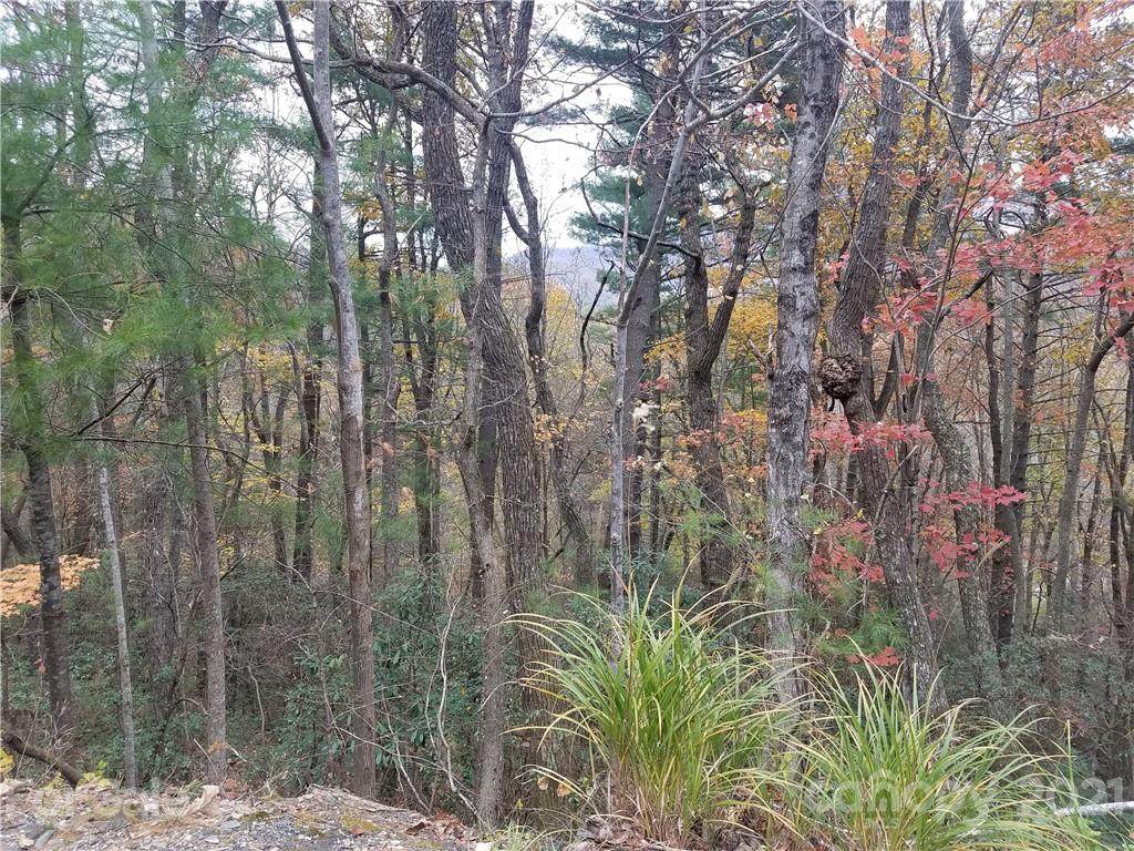 99999 Laurel Ridge Road - Photo 1