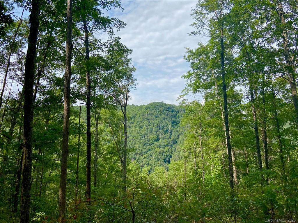 1225 Wild River Run - Photo 1