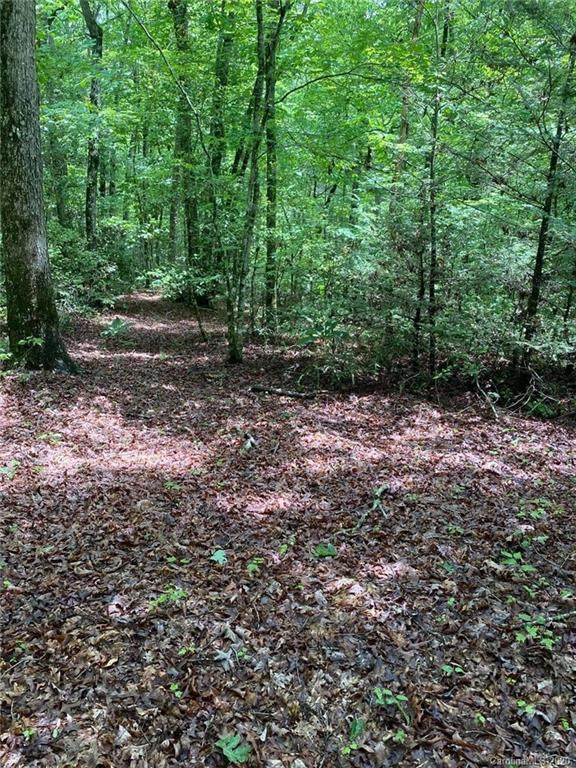 00 State Rd 1245 Road - Photo 1