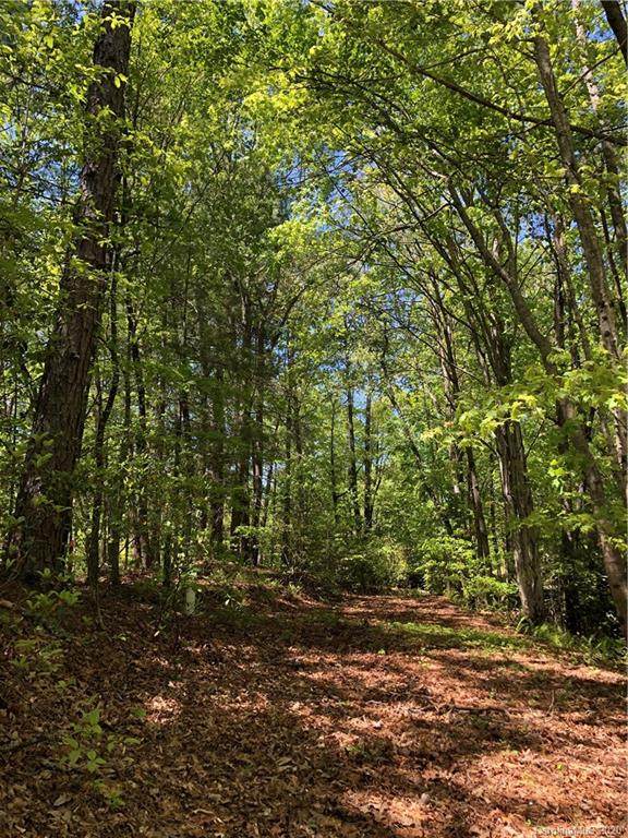 54 Old Little Mountain Road - Photo 1