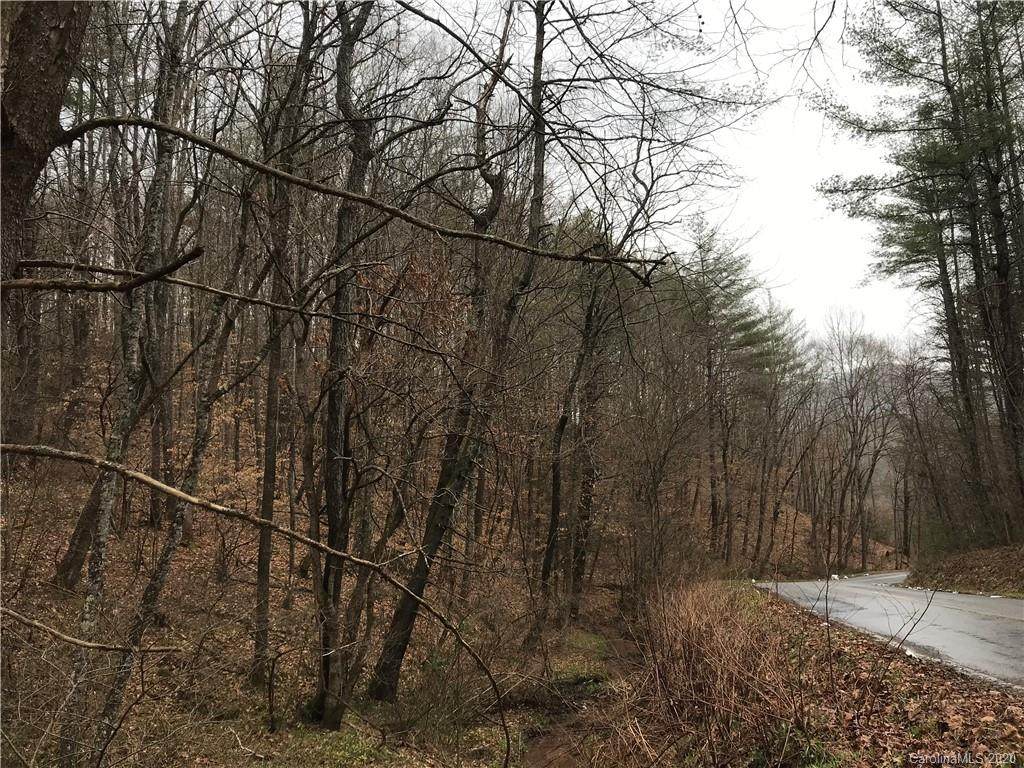 0000 Shelton Laurel Road - Photo 1