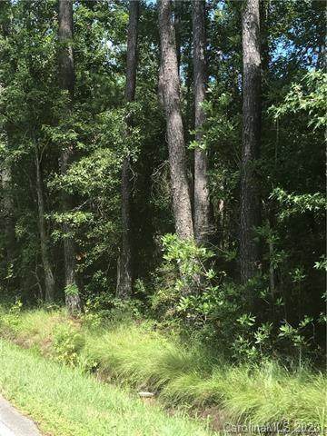 0 Sc Hwy 57 Highway - Photo 1