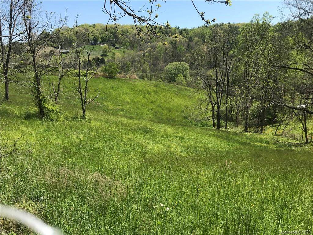 (Pasture Land) Lower Gabriels Creek Road - Photo 1