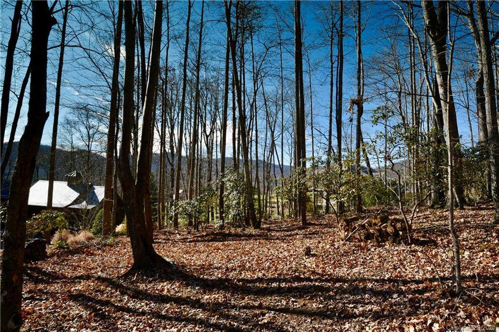 814 Blackthorne Lane - Photo 1