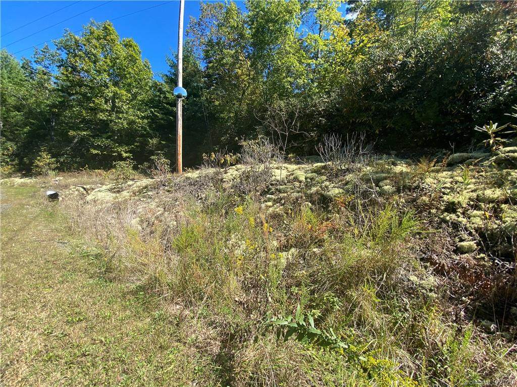 63 Linville Drive - Photo 1