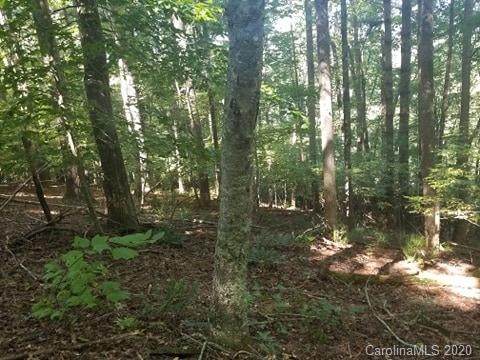 2953 Hwy 80 Highway - Photo 1