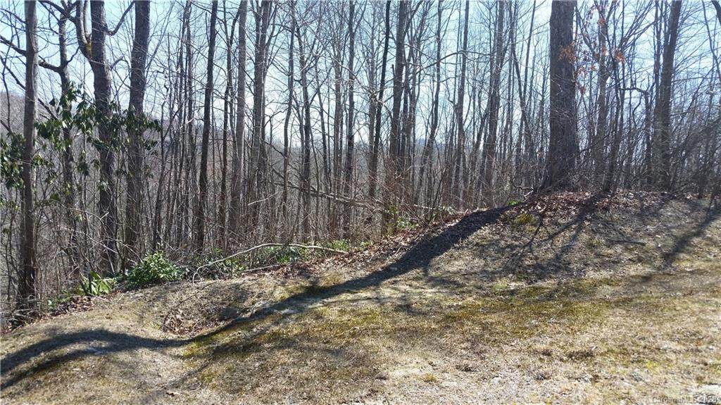 Lot #45 Mountain Crest Drive - Photo 1