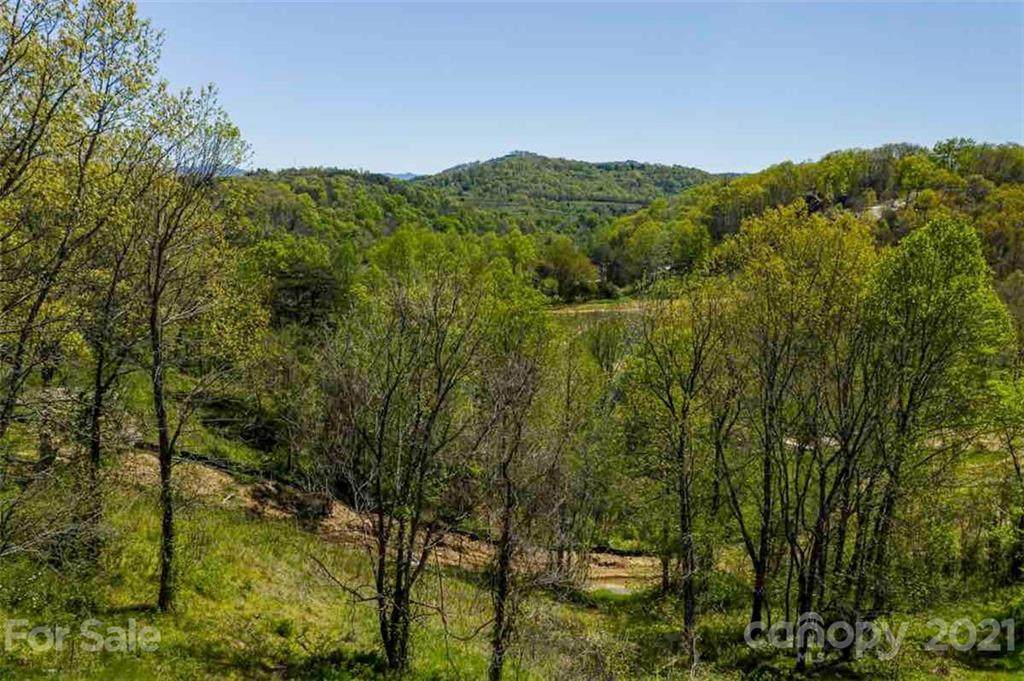 303 Broad Vista Lane - Photo 1