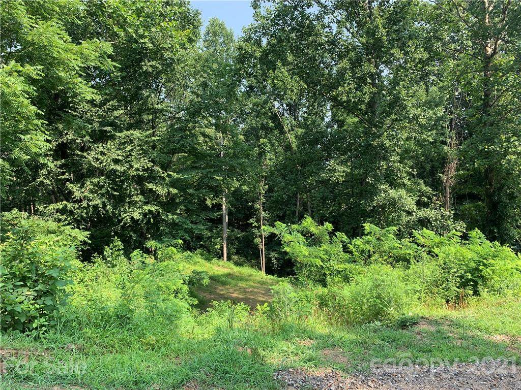 311 Broad Vista Lane - Photo 1
