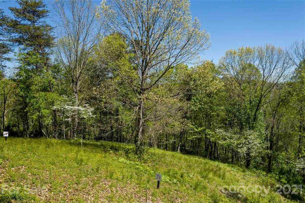 405 Blue Mind Way - Photo 1
