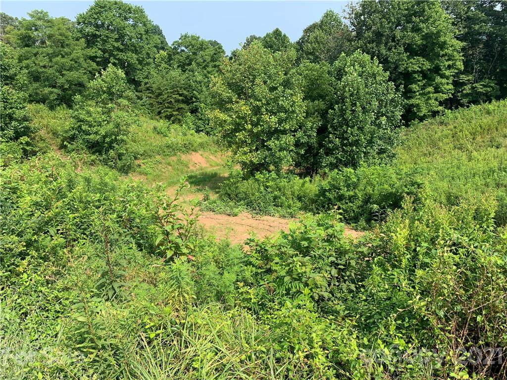 402 Blue Mind Way - Photo 1