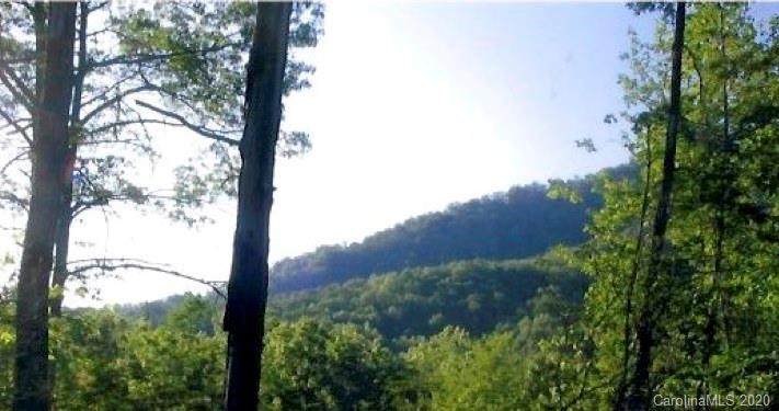 0000 Preservation Trail - Photo 1