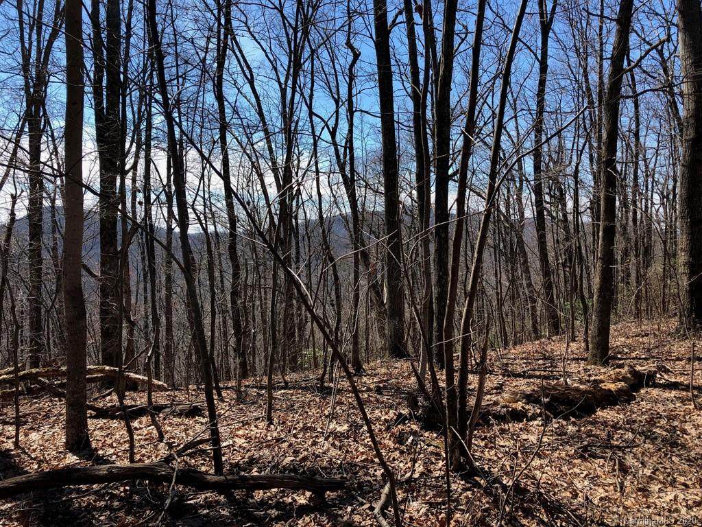 TBD Melrose Lake Road - Photo 1