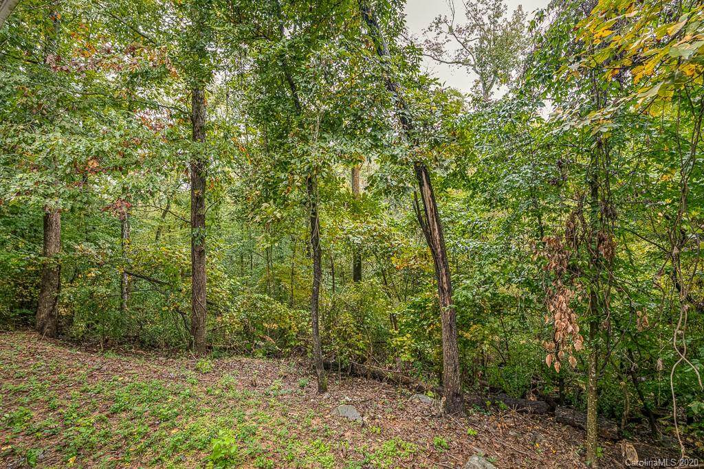 7809 Cedarbrook Drive - Photo 1