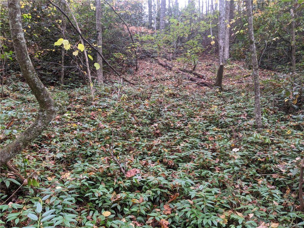 0 Willow Lake Drive - Photo 1