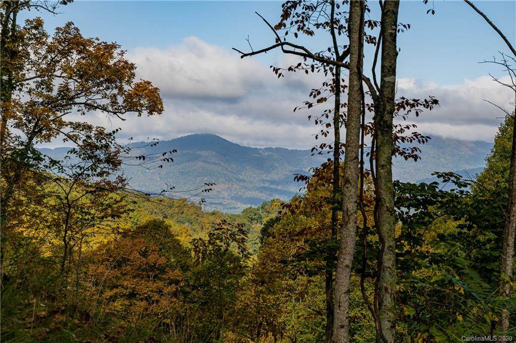 299 High Hickory Trail - Photo 1