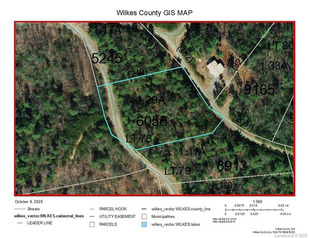 Lot 78 Deer Antler Drive - Photo 1