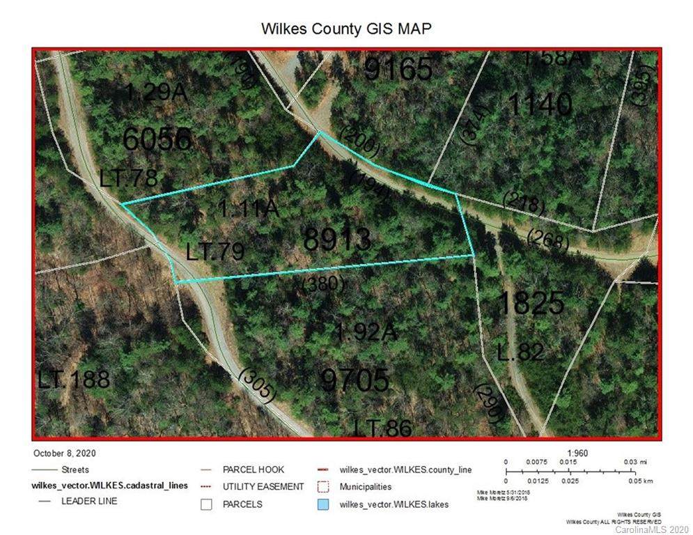 Lot 79 Deer Antler Drive - Photo 1