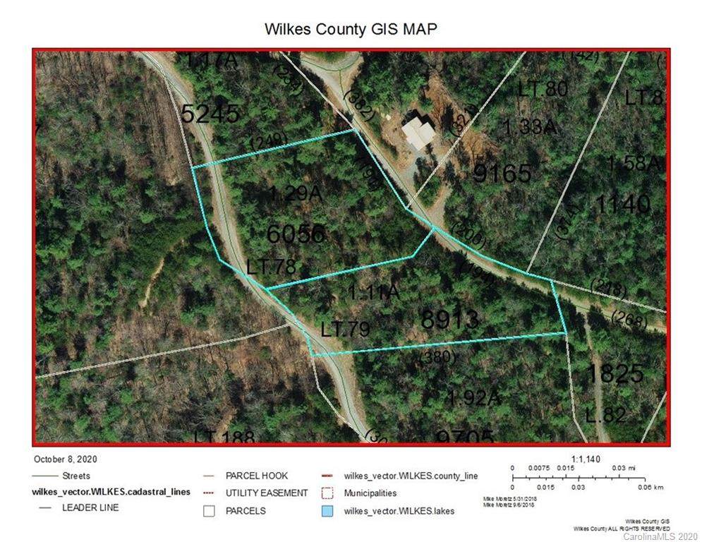 Lot 78 & 79 Deer Antler Drive - Photo 1