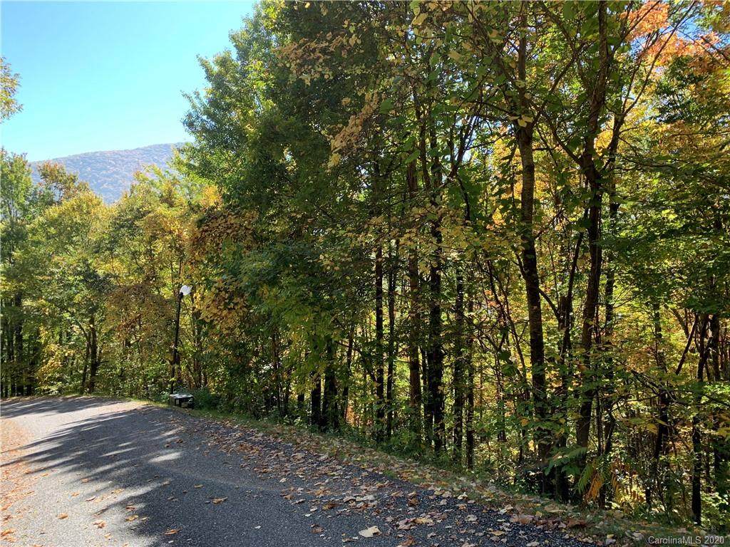 Lot 113 Davy Crockett Drive - Photo 1