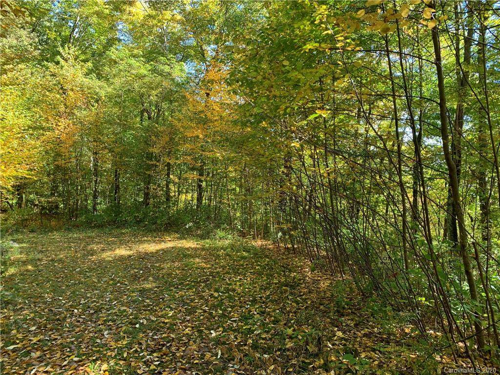 Lot 127 Davy Crockett Drive - Photo 1