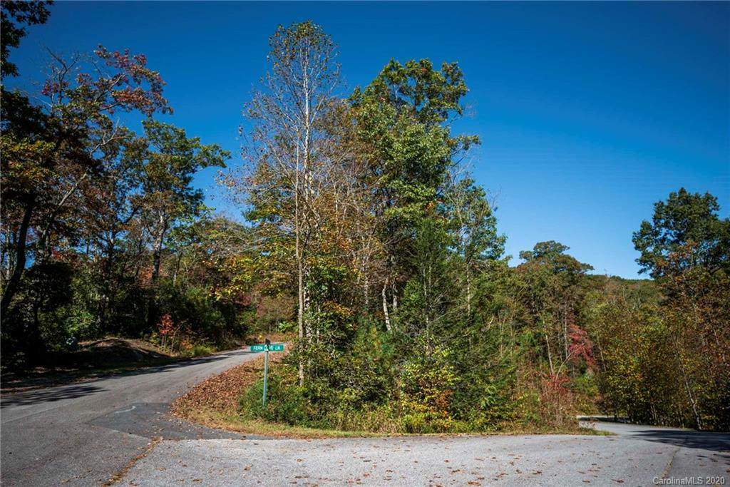 TDB Fern Cove Lane - Photo 1