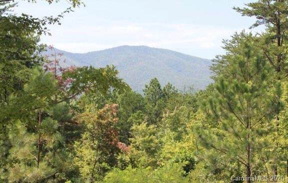 0 Pisgah Preserve Drive - Photo 1