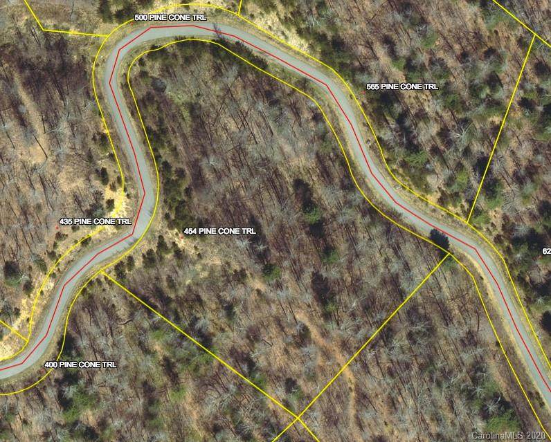 454 Pine Cone Trail - Photo 1