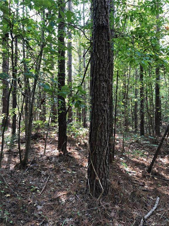 00 Everett Chappell Road - Photo 1