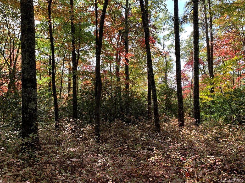 Lot 26 Ridge Trail Drive - Photo 1