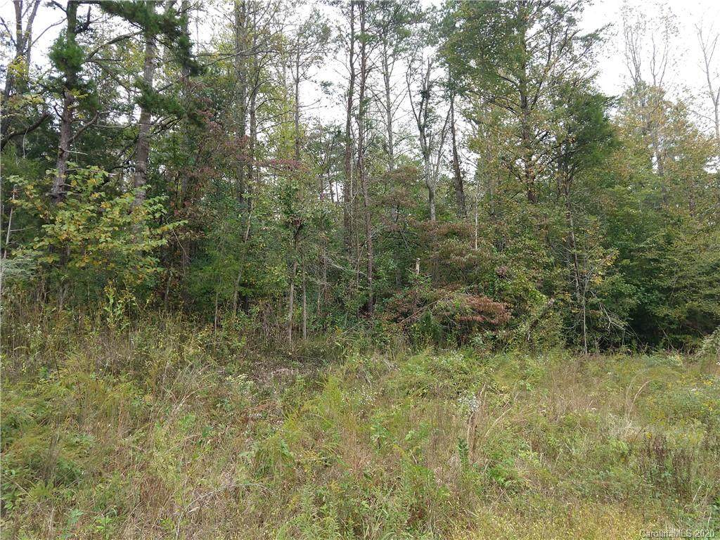 Tract 17 Red Rider Lane - Photo 1