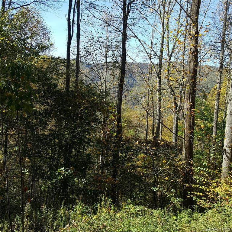 28 Appaloosa Trail - Photo 1