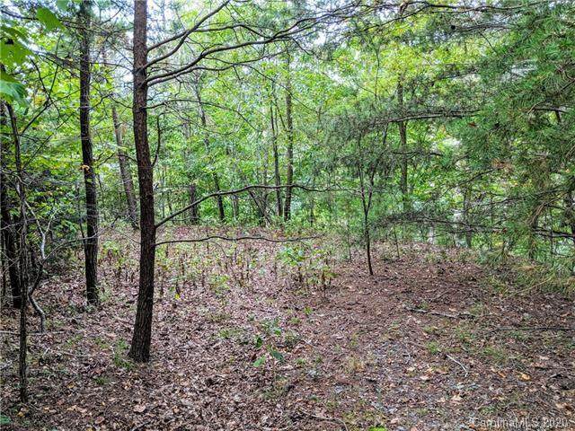 0 Buffalo Shoals Road - Photo 1