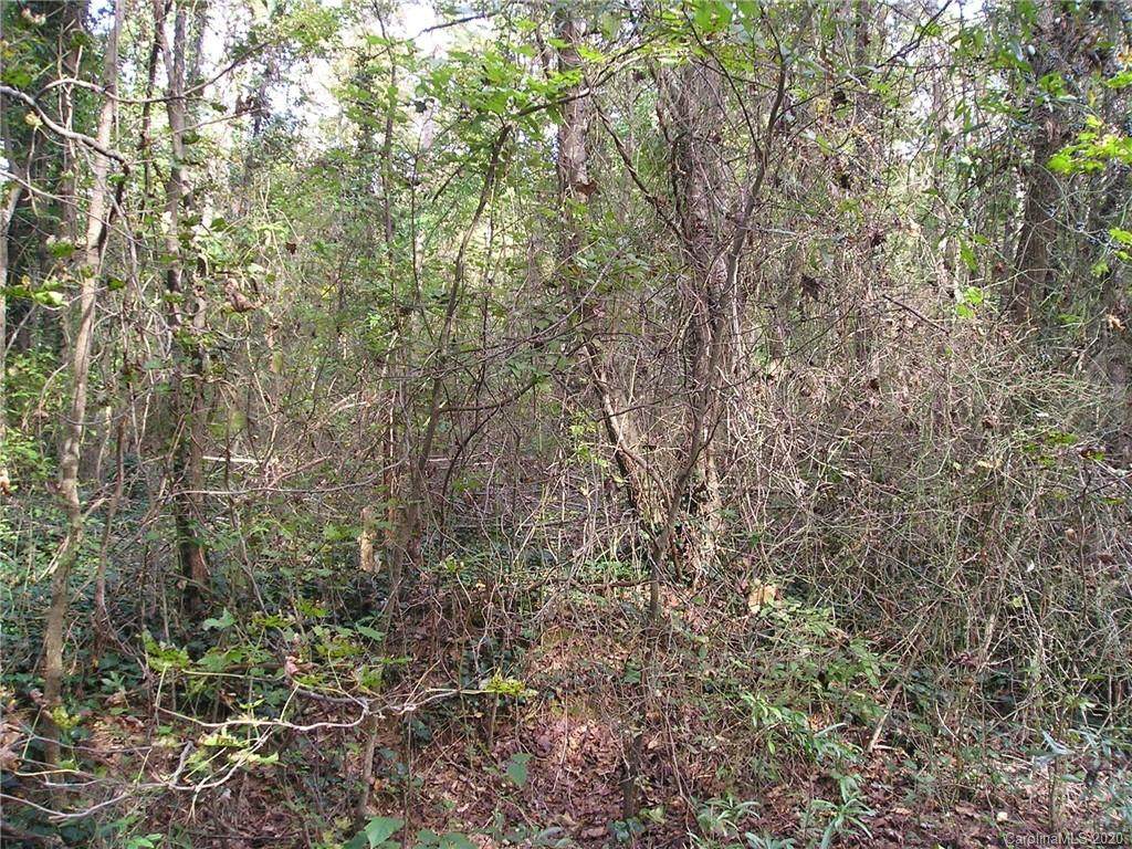 Lot 110 Archie Lane - Photo 1