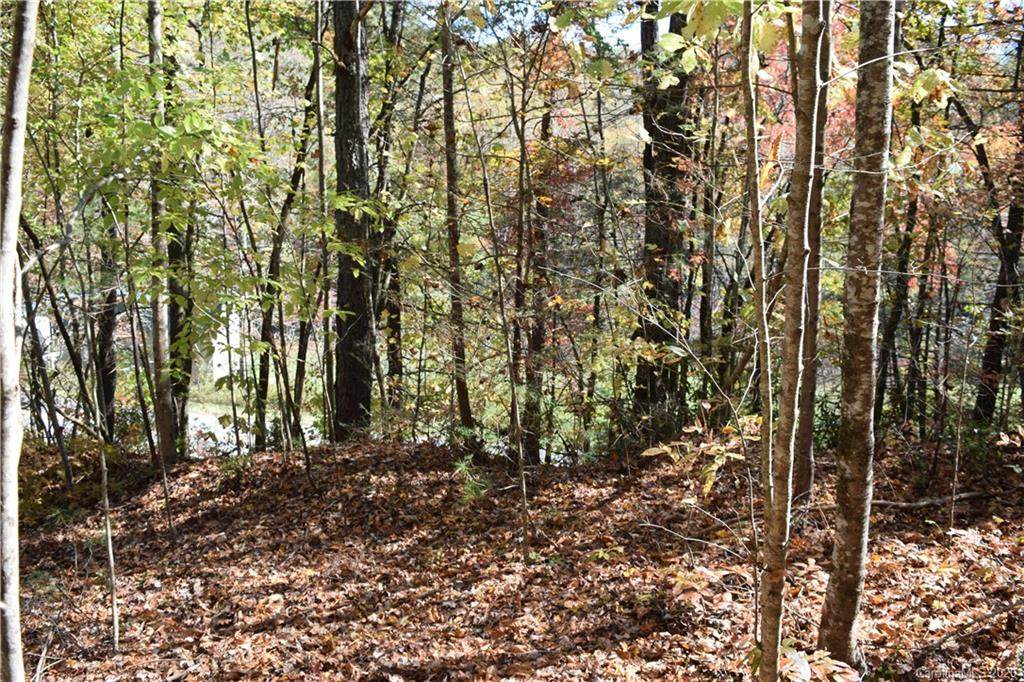 0 Tbd East Fork & White Horse Road - Photo 1