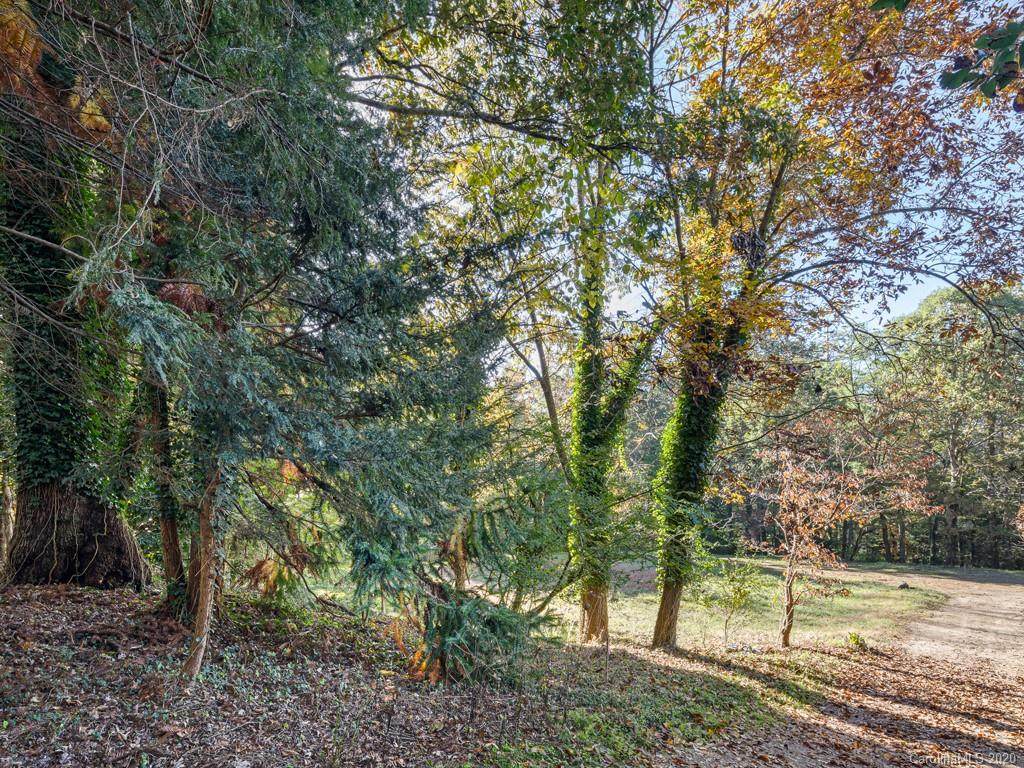 26 Forest Road - Photo 1