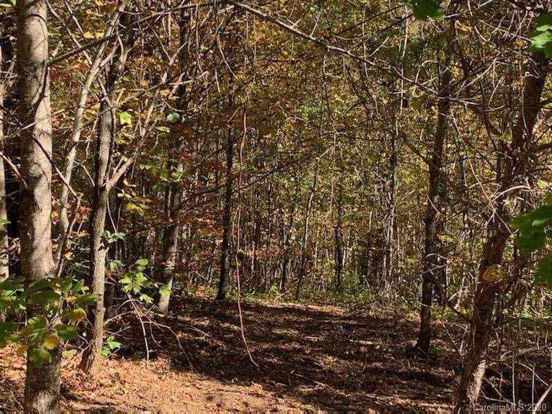 Lot 69 Grand Oaks Drive - Photo 1