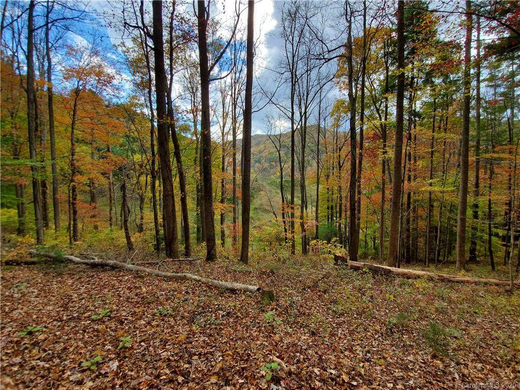 99999 Bobby Gosnell Road - Photo 1