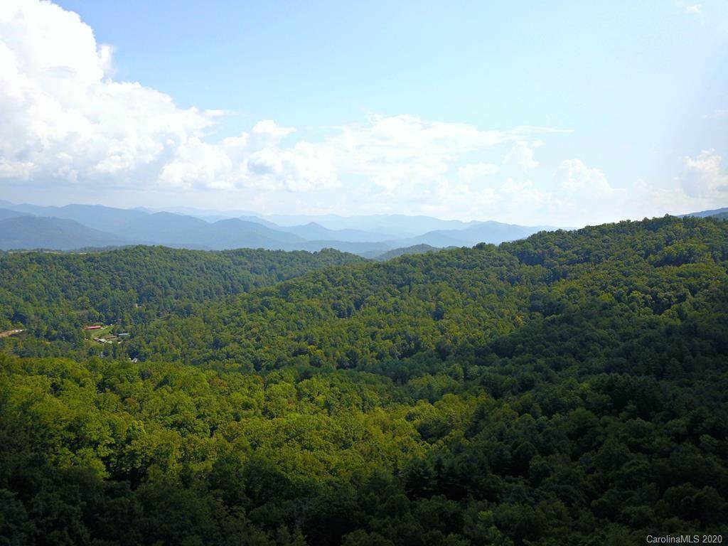 0 Mountain Forest Estate - Photo 1