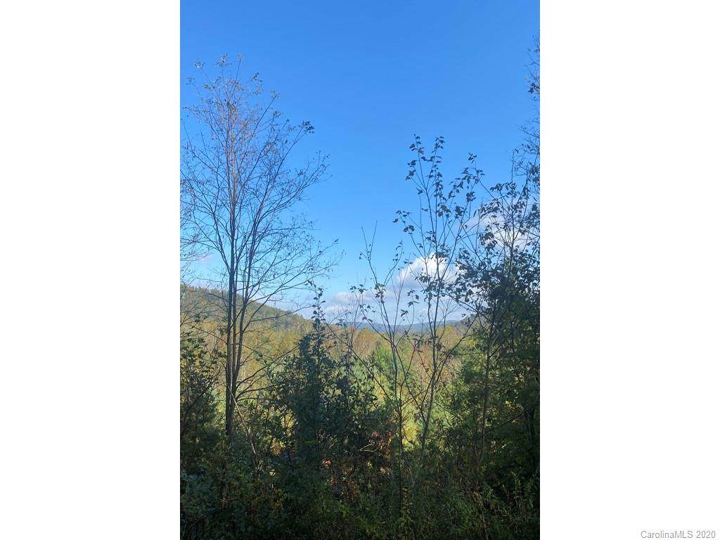 0000 Mountain Summit Road - Photo 1